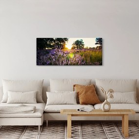 Tablou - Câmp cu lavandă (120x50 cm)