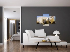 Tablou cu cățeluș dormind (90x60 cm)