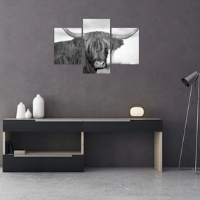 Tablou - Vacă scoțiană 2,alb-negru (90x60 cm)