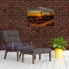 Tablou pe sticlă - Sfărșit de zi în deșertul Arizona (70x50 cm)