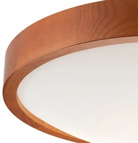 Lustr MEDA 2xE27/60W/230V pentru tavan