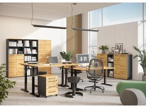 Birou reglabil cu înălțime ajustabilă electric cu blat cu aspect de lemn de stejar 80x160 cm Agenda – Germania