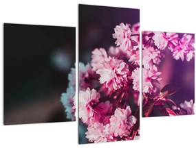 Tablou cu florile copacilor (90x60 cm)