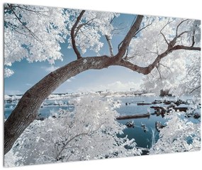 Tablou cu copac înzăpezit lângă apă (90x60 cm)