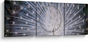 Tablou - Păun alb (cu ceas) (90x30 cm)