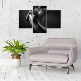 Tablou - Femei nud (90x60 cm)