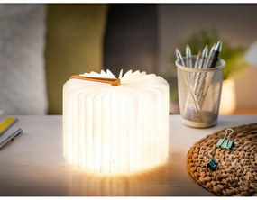 Decorațiune luminoasă portocalie cu USB Booklight – Gingko