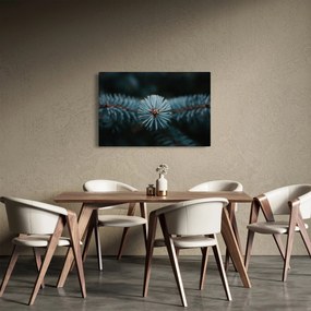 Tablou -Crenguțe ale unui conifer (90x60 cm)