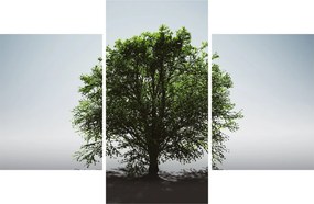 Tablou - Copacul singuratic (90x60 cm)