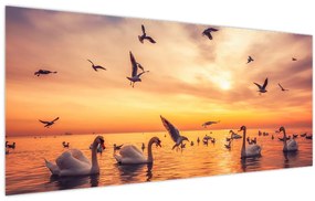 Tablou - Lebedă (120x50 cm)
