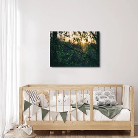 Tablou pe sticlă - Soarele strălucind printre crengile copacilor (70x50 cm)