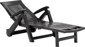 Șezlong de grădină ZIRCONE, 72×195×101 cm, antracit I.P.A.E-Progarden
