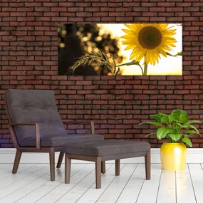 Tablou cu floarea soarelui (120x50 cm)