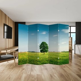 Paravan - Copaci pe luncă (210x170 cm)