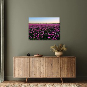 Tablou - Pajiștea cu lalele violet (70x50 cm)
