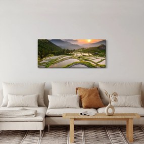 Tablou - Terase de orez (120x50 cm)