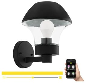 Eglo 33567 - Aplica LED de exterior reglabilă VERLUCCA-C, 1xE27/9W/230V, IP44