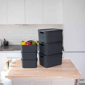 Cutie de depozitare din plastic cu capac Deco - Rotho