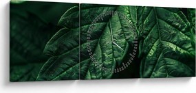 Tablou - Detaliu al foii (cu ceas) (90x30 cm)