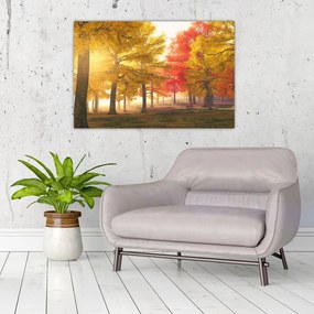 Tablou cu copaci toamna (90x60 cm)