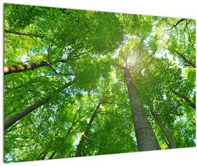 Tablou - Lunca (90x60 cm)