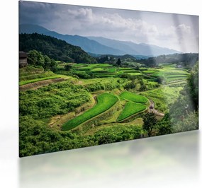 Tablou pe sticlă cu câmp de orez (70x50 cm)
