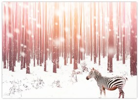 Tablou pe sticlă - Zebra în pădurea înzăpezită (70x50 cm)