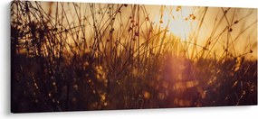 Tablou - Câmp la apus de soare (120x50 cm)