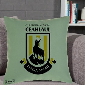 Perna Personalizata CSM Ceahlaul Piatra Neamt Fotbal, 40x40 cm, Verde, Husa Detasabila, Perna Inclusa, BEKZ®