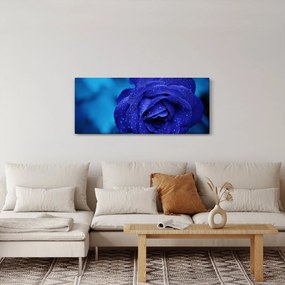 Tablou cu trandafir albastru (120x50 cm)