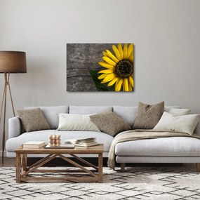 Tablou - Floare de floarea soarelui (70x50 cm)