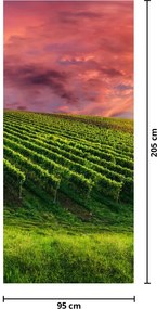 Fototapet pentru ușă - Podgorii și cer colorat (95x205cm)