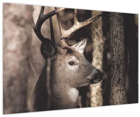 Tablou - Cerb în pădure (90x60 cm)