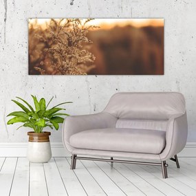 Tablou - Iarba înflorită (120x50 cm)