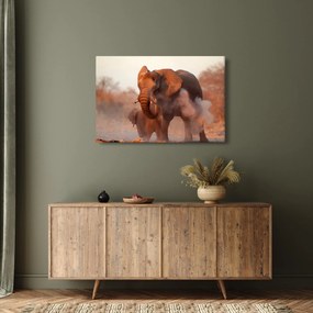 Tablou - Marele elefant african (90x60 cm)