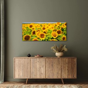 Tablou - Floarea-soarelui (120x50 cm)