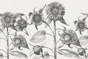 Fototapet, Sunflower, Beige, Rebel Walls