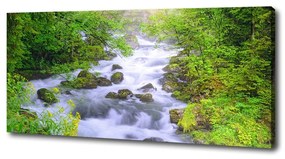 Imprimare tablou canvas Râu de munte