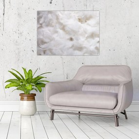 Tablou - Pene albe (70x50 cm)