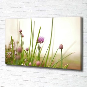 Tablou canvas Arpagic