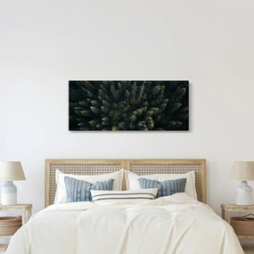 Tablou - Pădure (120x50 cm)