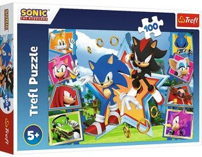 Puzzle Trefl Sonic Cunoașteți ariciul, 100 bucăți