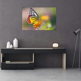 Tablou - Fluture pe floare (90x60 cm)