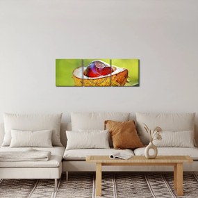 Tablou cu castani (cu ceas) (90x30 cm)