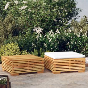 319169 vidaXL Set mobilier de grădină, 2 piese, lemn masiv de tec