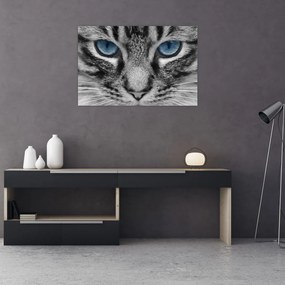 Tablou cu pisica (90x60 cm)