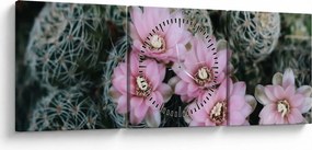 Tablou floare de cactus (cu ceas) (90x30 cm)