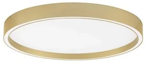 Plafoniera LED design slim ISTOS aurie D-50cm