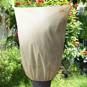 Deuba Husa de protectie a plantelor 2,5x3,6m - bej