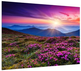 Tablou cu peisaj montan înflorit (70x50 cm), în 40 de alte dimensiuni noi